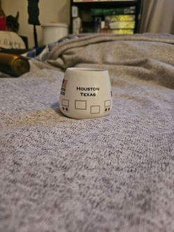 Houston Texas Souvenir Shot Glass