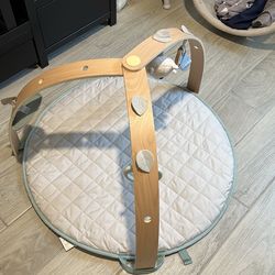 Ingenuity tummy time play mat