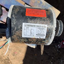 Cooler Motor 