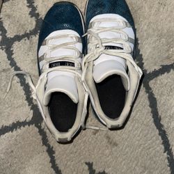 Jordan Snake Skin 11s