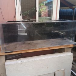 fish tank for sale