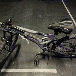 29” Mountain Bike 