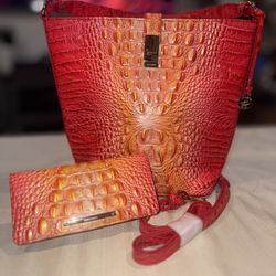 BRAHMIN Purse Set 