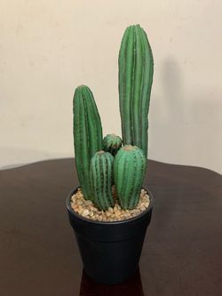 Artificial Potted Green Pillar Cactus - 11”