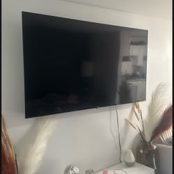 65 In Tv