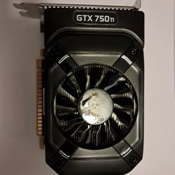 PNY GTX 750 Ti - Graphics Card GPU