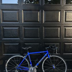 Bianchi Imola Road Bike 