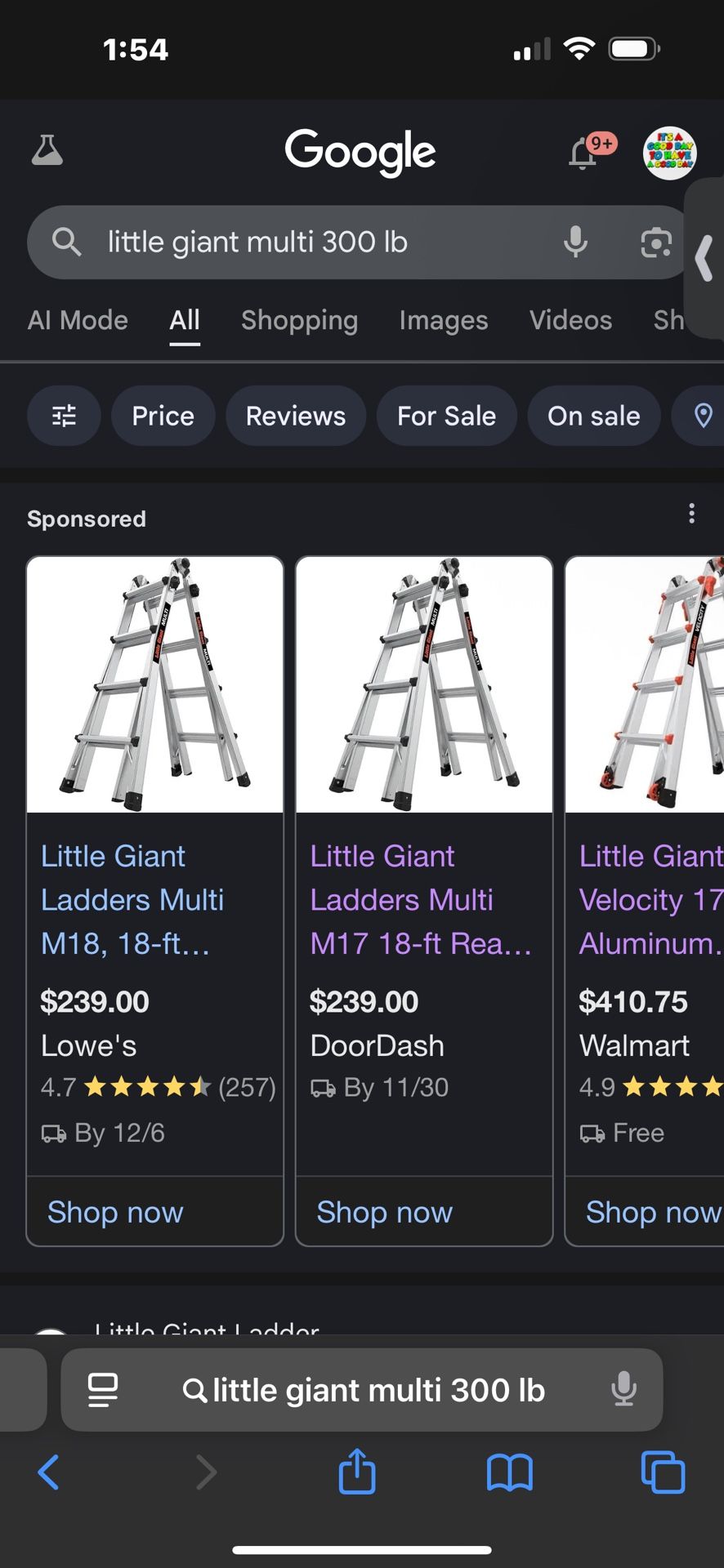 Little Giant Ladder