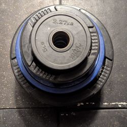 🏋️‍♂️ For Sale: Olympic 2" Weight Plates – Great Condition