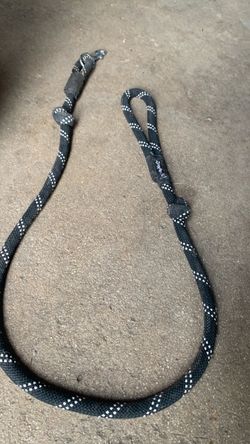 Pet leash