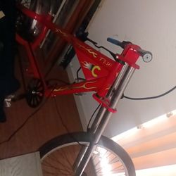 Lowrider Cruiser For An Adult 