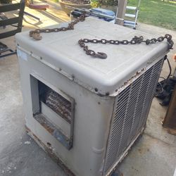 Champion Model: 3000 SM Cooler 