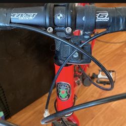 Masi Road Bike