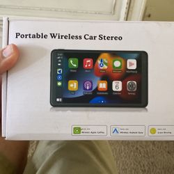 Portable Wireless Car stereo/Back Up Camera 