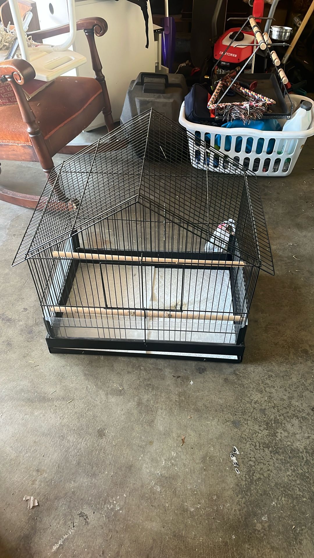 Bird Cage