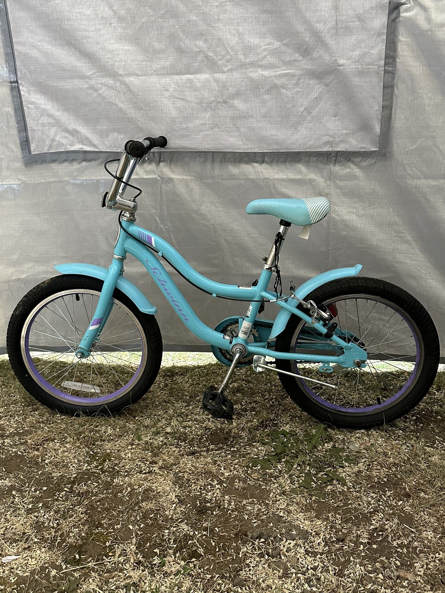 Schwinn Bike