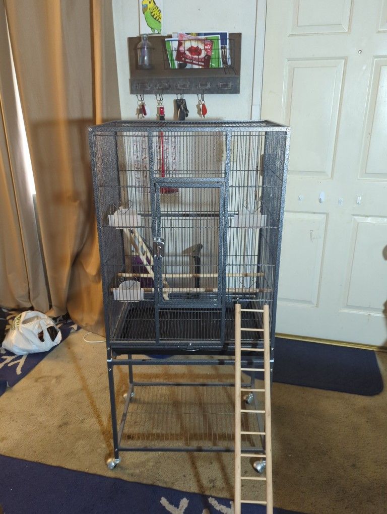 Bird Cage plus Carrier