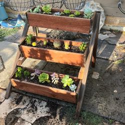 Step Succulent Planter 