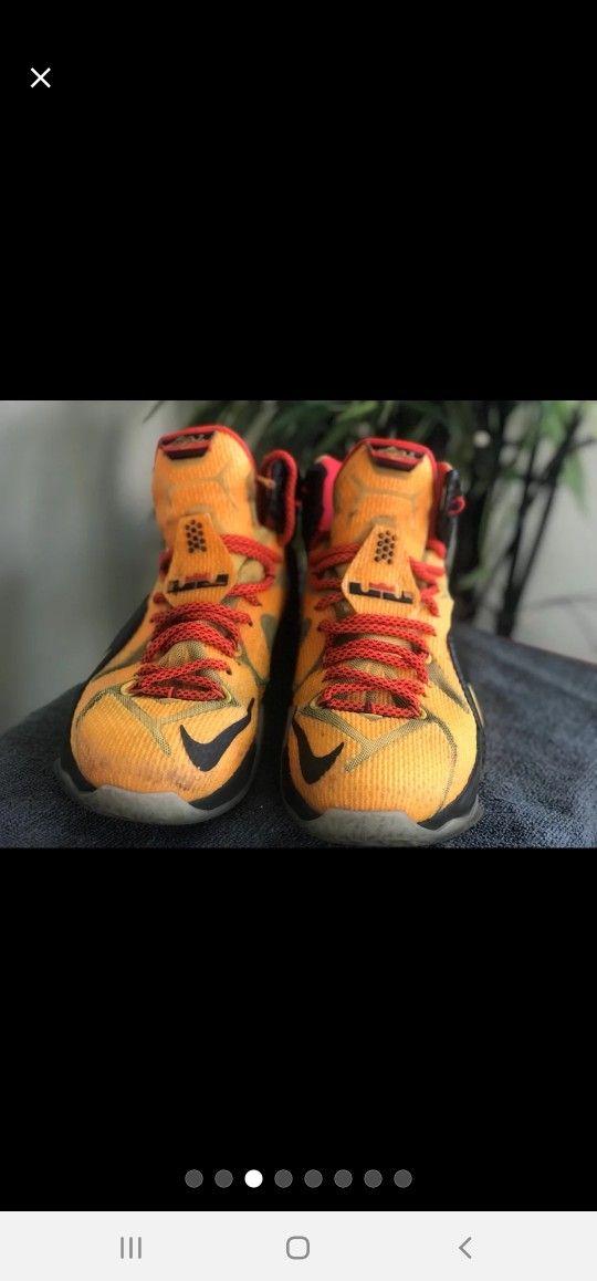 Mens Nike LeBron XII Witness Shoes Sz 8