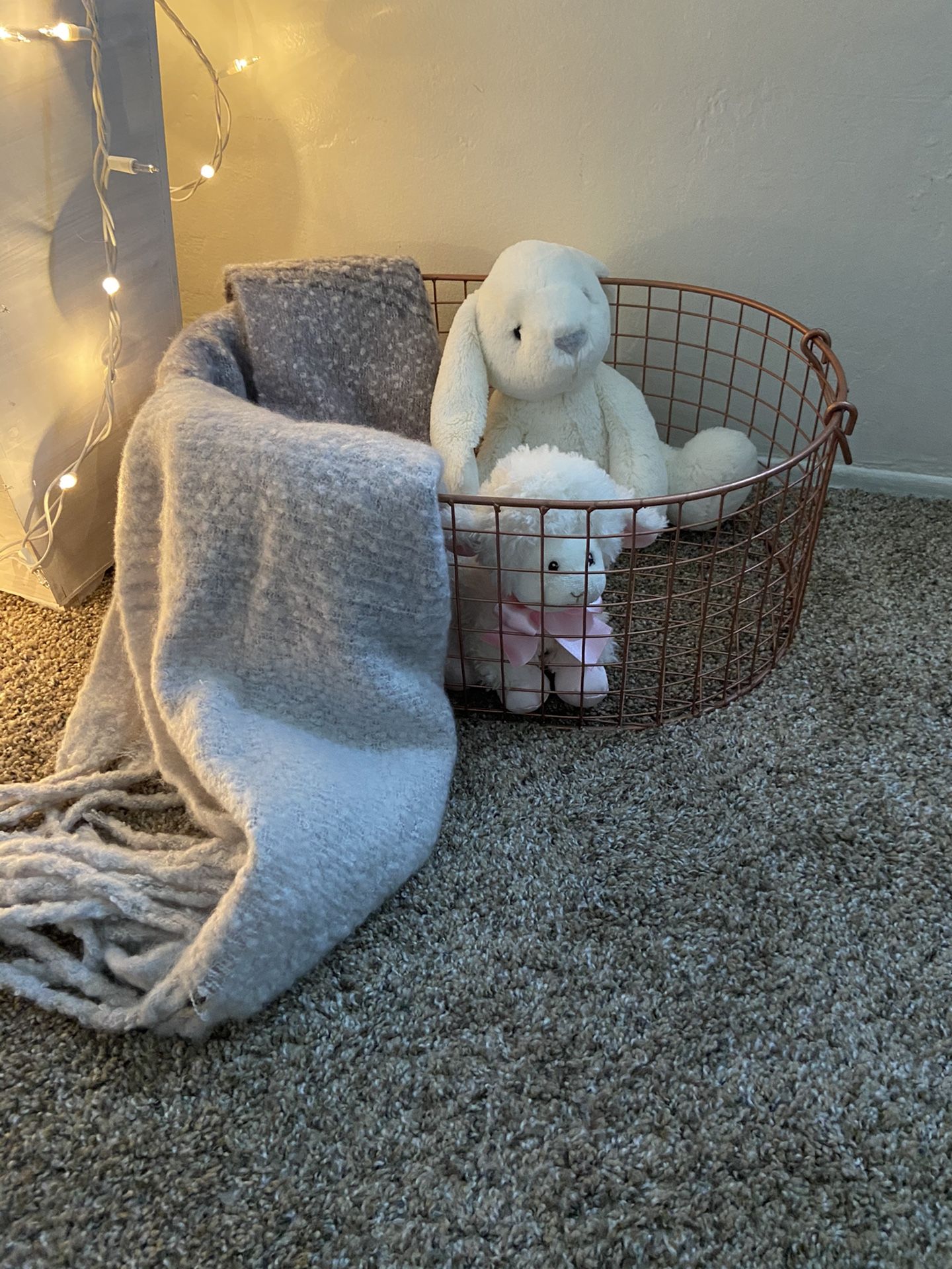 Basket and blanket Shaw thing (lol) - Room Decor - Near SDSU