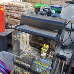 Terrarium With Assessories