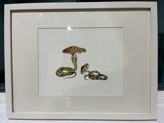 Amy Ross "Snake Charmers" Signed Print No. 58, July 2012, Framed