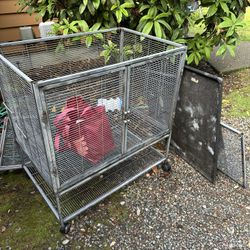 Rat Cage With Equipment