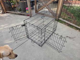Dog training crate for medium size dog