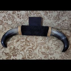 Bull Horn  1981 from Tijuana 