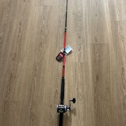 Fisning Rod And Reel (Trolling And Conventional)