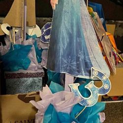 Frozen Theme Center Pieces