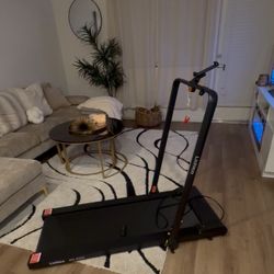 Lichico 2 Motion Treadmill 