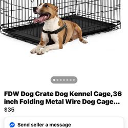 Large Dog Kennel 