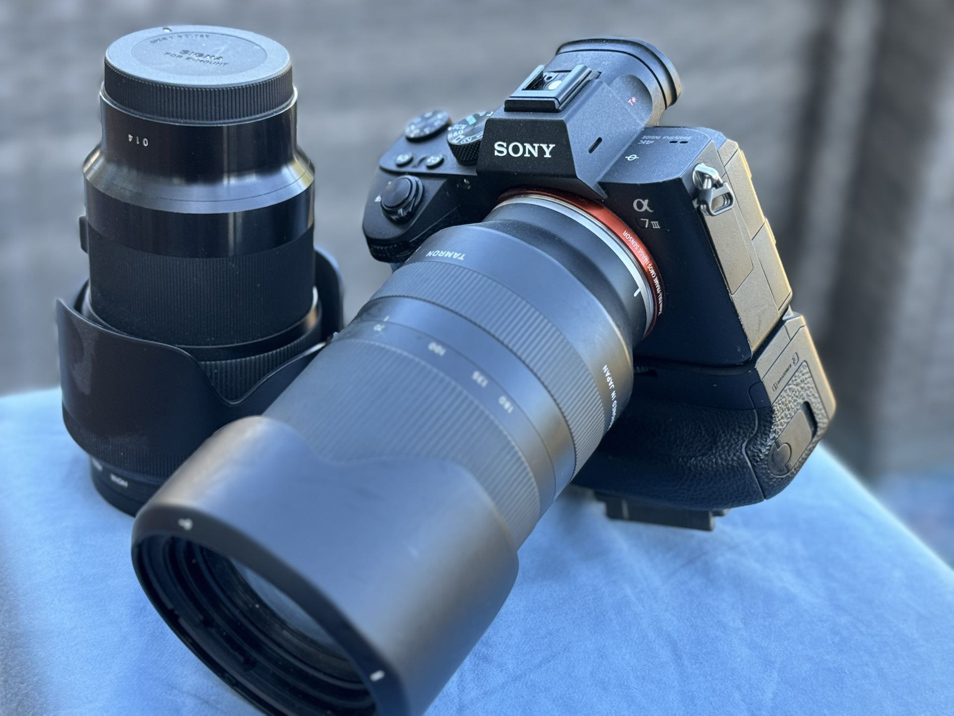 Sony A7iii, Sigma 50mm , Tamron 70-180mm, Tripod And Accessories