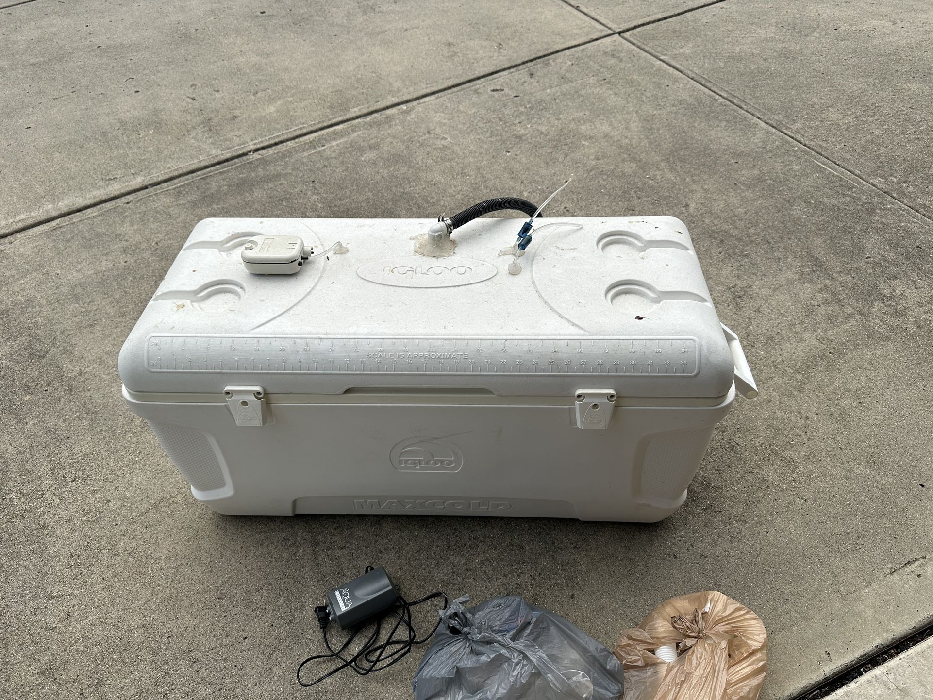 Huge, 150 Quart Fish Live well For Transport