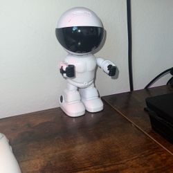 Robot Secret Camera 