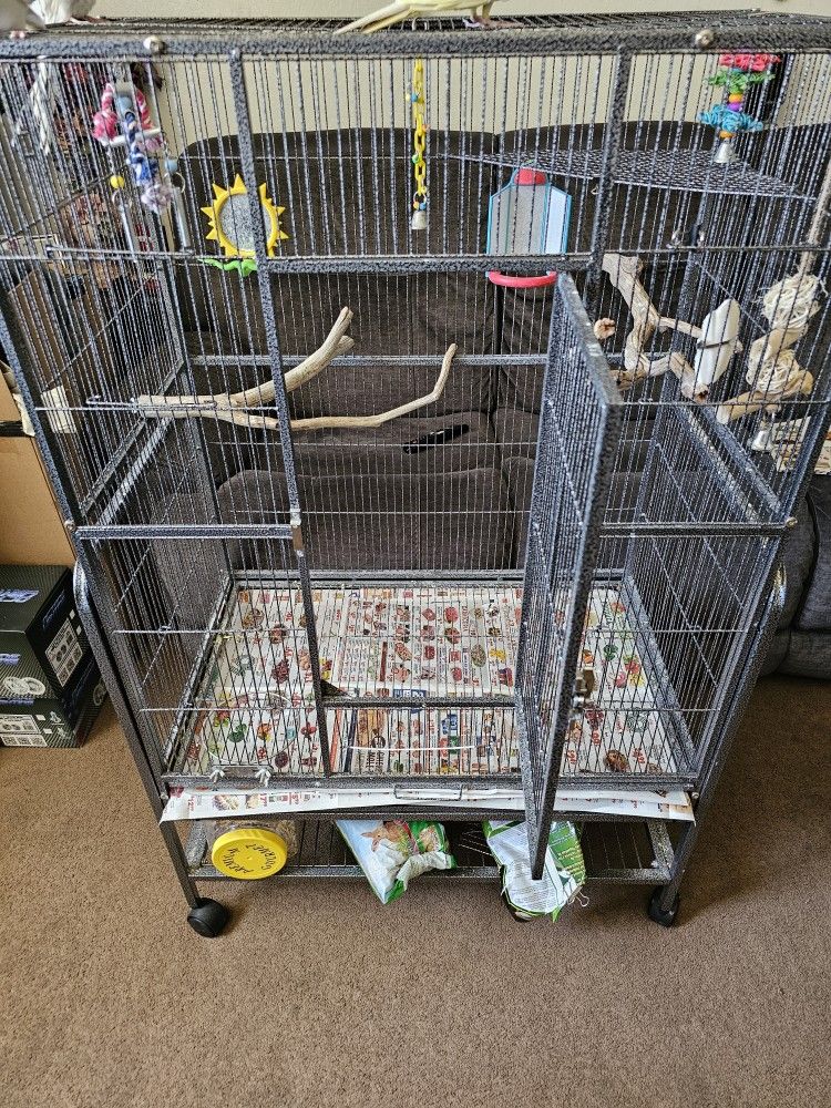 Bird Cage