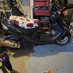 2017 Wolf Rx