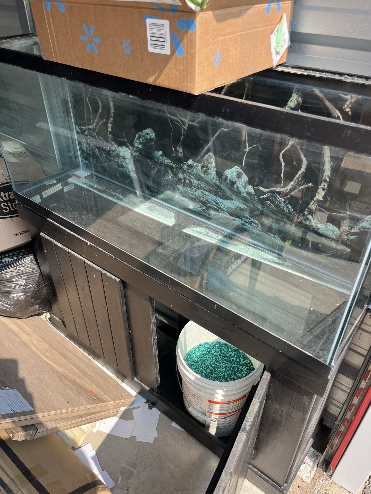 55 Gallon Fish Tank