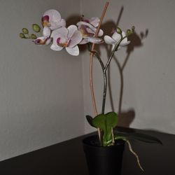 IKEA Artificial Orchid Potted Plant Decor