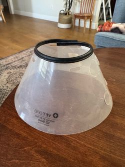 Dog recovery cone