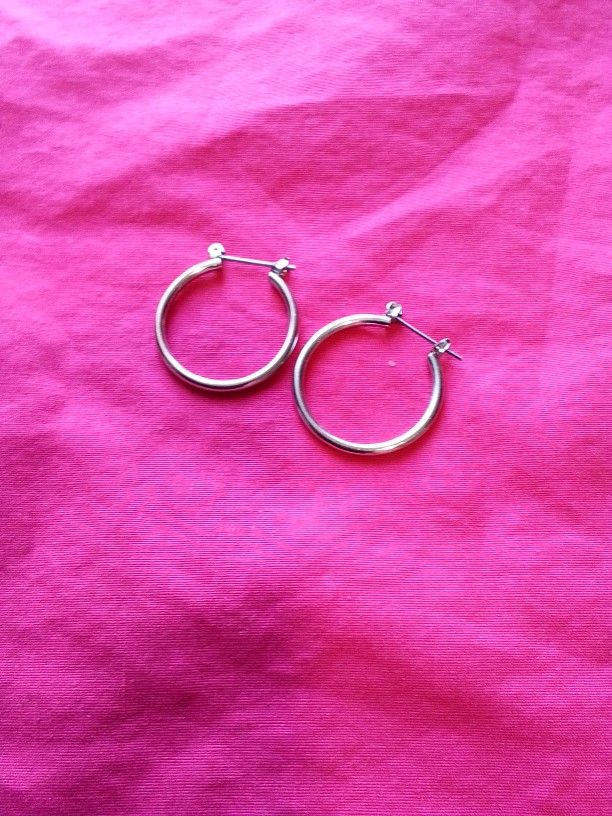 Silver Loop Earrings 