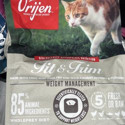 Cat Food 