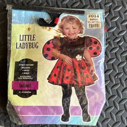 Little Ladybug