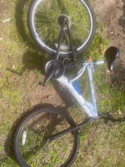 Free Bicycle