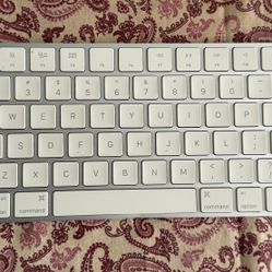 Apple Magic Wireless Rechargeable Color White ( Model: A1644 EMC:2815)