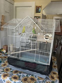 M Cage For Sale 