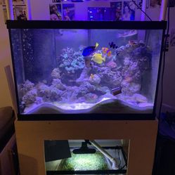 Complete 65 gallon tank no fish still has water and live rock