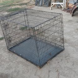 Animal Cage