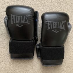 Boxing Gloves Like New $25 